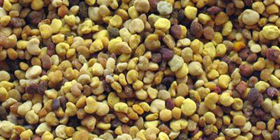 Mélange de pollen