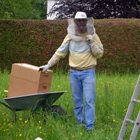 Naissance d'une abeille